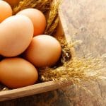 Kannattaako kananmunia syödä?