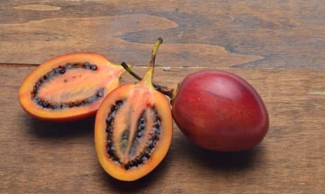 tamarillo Tamarillo